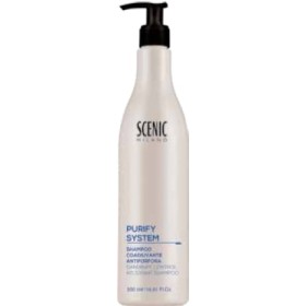 SCENIC NEW PURIFY SH 500ML