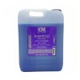 SCENIC TANICA *UVA - TUTTI I TIPI DI CAPELLI SH 10LT